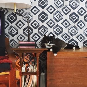 Meet your Posher, Sam